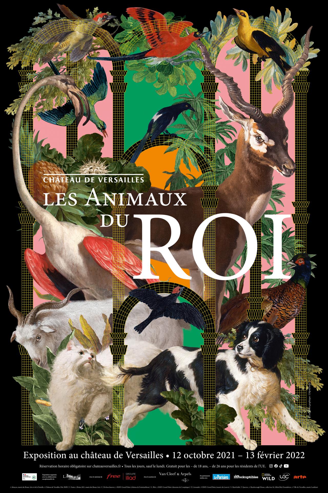 Posters animaux │ affiches photo, cheval, chien, loup