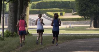 versailles audio tour