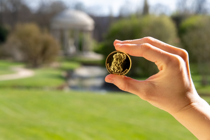 Get your Patronage Token | Château de Versailles