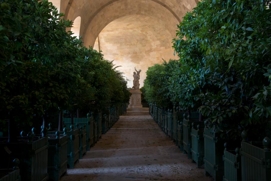 This is Versailles: Orange for the King