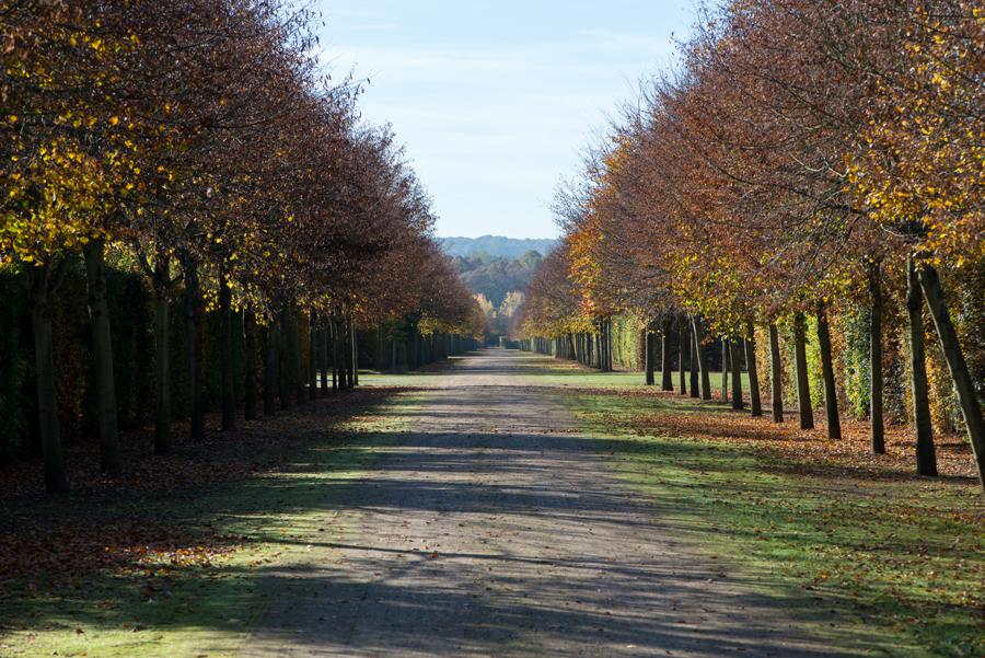 The Gardens of the Grand Trianon | Palace of Versailles