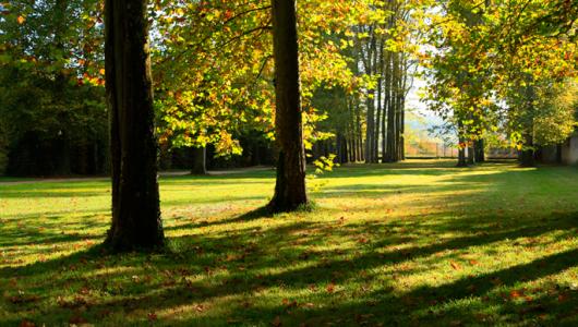 versailles a tours